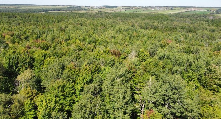Wotton (Estrie) : Terre à bois et chasse 77,02 acr