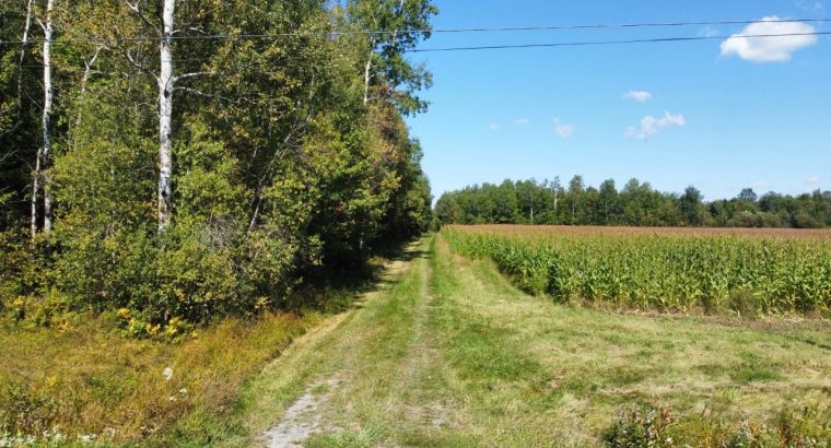 Wotton (Estrie) : Terre à bois et chasse 77,02 acr