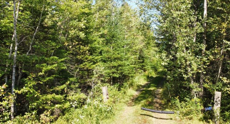Wotton (Estrie) : Terre à bois et chasse 77,02 acr
