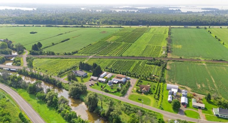 Coteau-du-Lac (Montérégie) : Vignoble 28ac maison