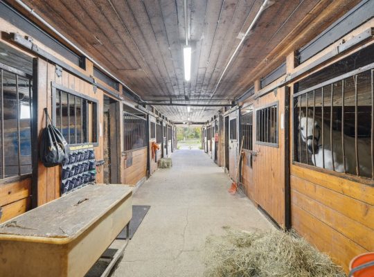 Laval (Laval) : Domaine équestre 3 écuries, 21 acr