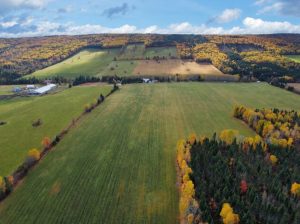 Routhierville (Bas-Saint-Laurent) :Terre 1,770 acr
