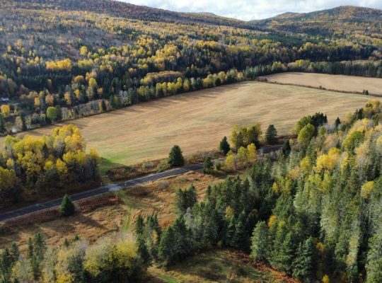 Routhierville (Bas-Saint-Laurent) :Terre 1,770 acr
