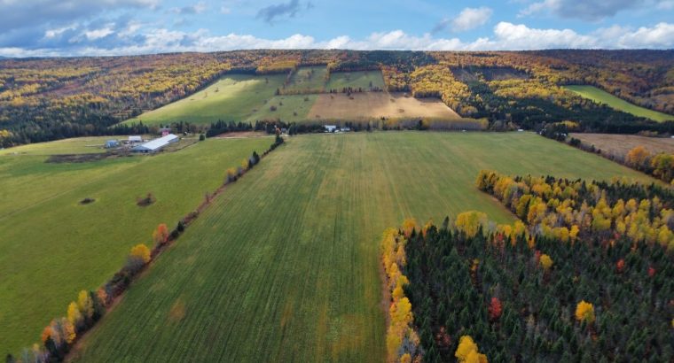 Ste-Florence(Bas-Saint-Laurent) Domaine agr 1770ac
