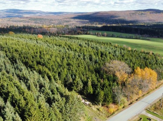 Irlande (Chaudière-Appalaches) : Domaine acéricole