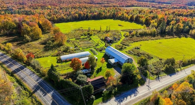 St-Joachim-de-Shefford (Estrie) : Ferme de 100 acr