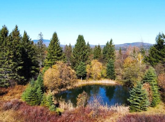 Notre-Dame-des-Bois (Estrie) : Fermette de 103 acr