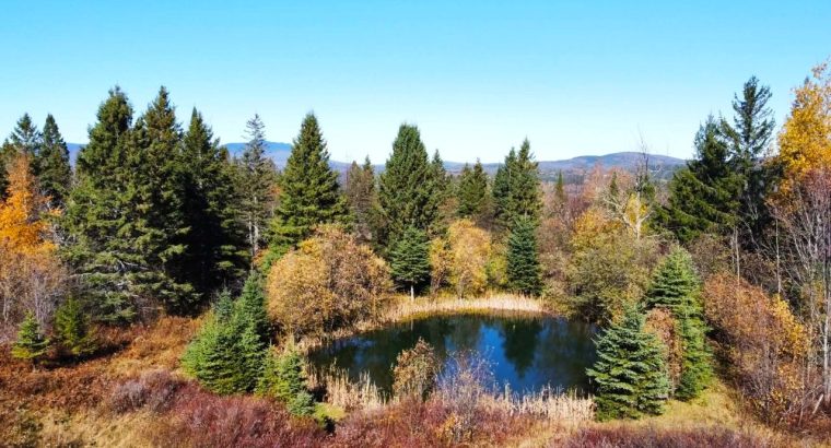 Notre-Dame-des-Bois (Estrie) : Fermette de 103 acr