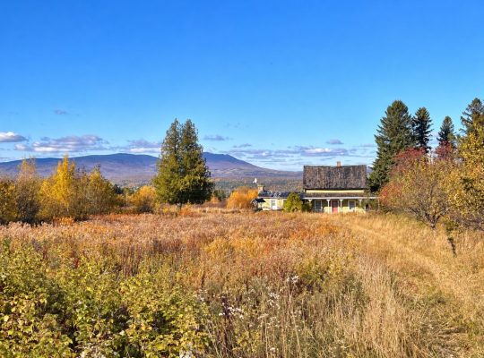 Notre-Dame-des-Bois (Estrie) : Fermette de 103 acr