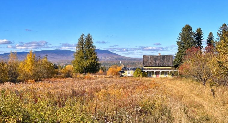 Notre-Dame-des-Bois (Estrie) : Fermette de 103 acr
