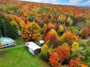 Newport (Estrie) : Fermette 103 acres terre à bois