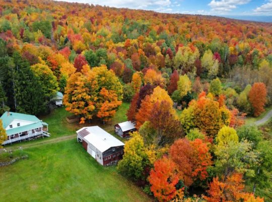Newport (Estrie) : Fermette 103 acres terre à bois