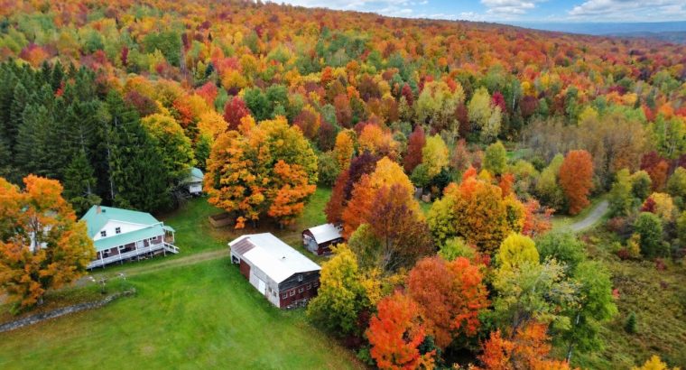 Newport (Estrie) : Fermette 103 acres terre à bois