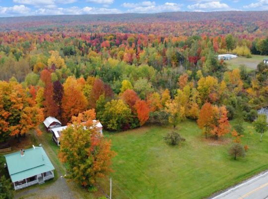 Newport (Estrie) : Fermette 103 acres terre à bois