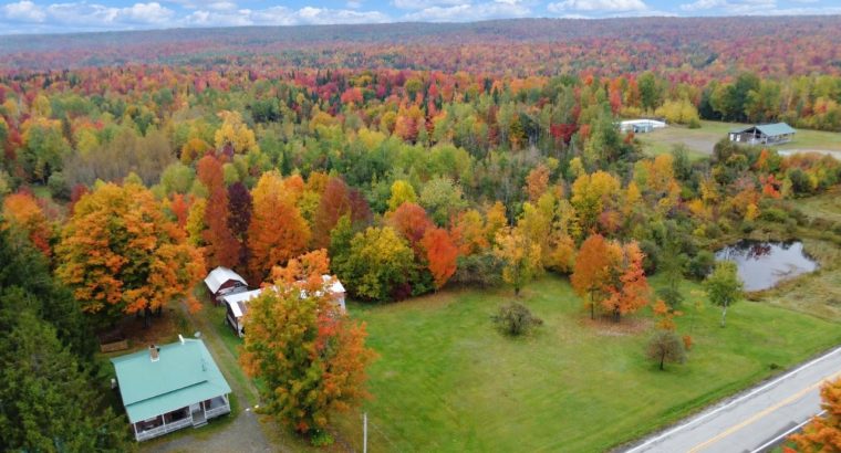 Newport (Estrie) : Fermette 103 acres terre à bois