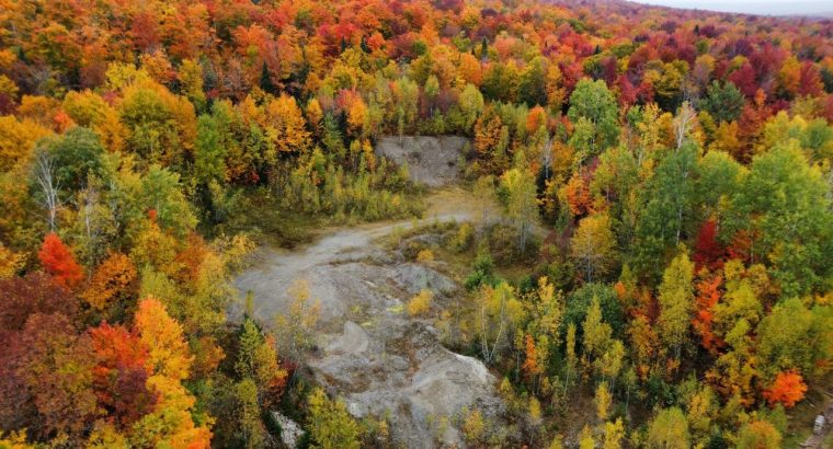 Newport (Estrie) : Fermette 103 acres terre à bois