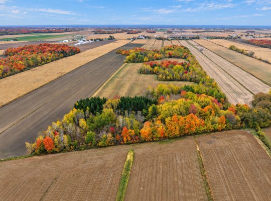 St-Dominique (Montérégie) : Centre équestre 102acr