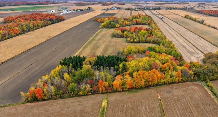 St-Dominique (Montérégie) : Centre équestre 102acr