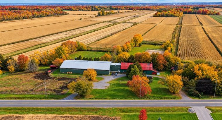 St-Dominique (Montérégie) : Centre équestre 102acr