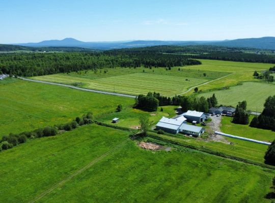 Notre-Dame-de-Ham (Centre-du-Québec) : Ferme 86 ac