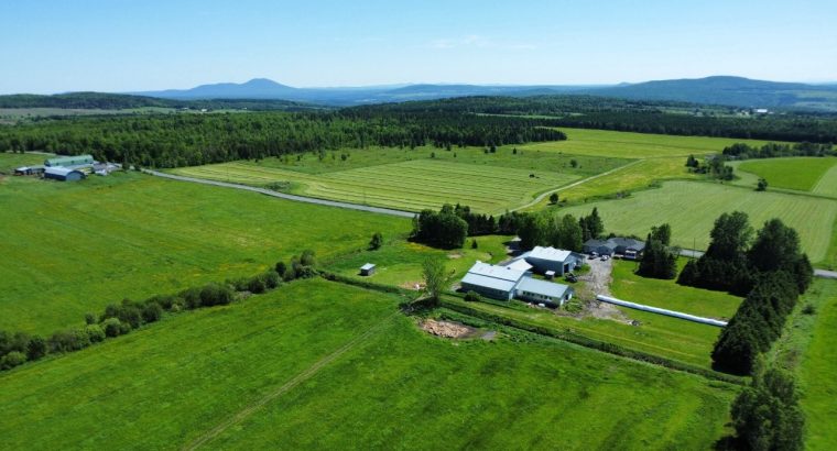 Notre-Dame-de-Ham (Centre-du-Québec) : Ferme 86 ac