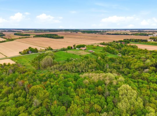 St-David (Montérégie) : Fermette terre 30,19 acres