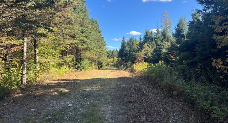 St-Cyprien (Chaud.-App.) : Terre à bois 102 acres