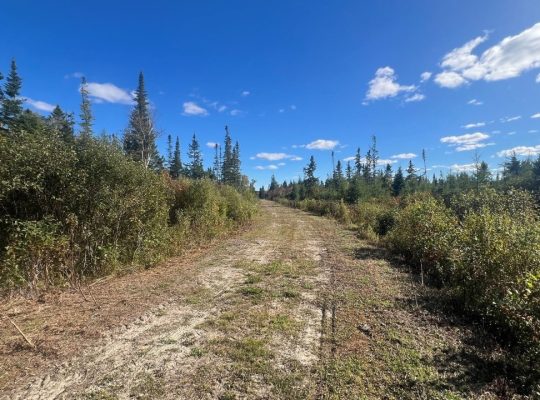 St-Cyprien (Chaud.-App.) : Terre à bois 102 acres