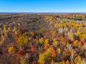 Notre-Dame-du-Mont-Carmel (Mauricie)Terre à bois