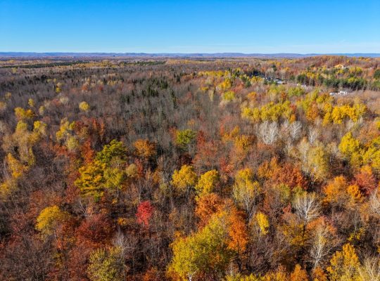 Notre-Dame-du-Mont-Carmel (Mauricie)Terre à bois