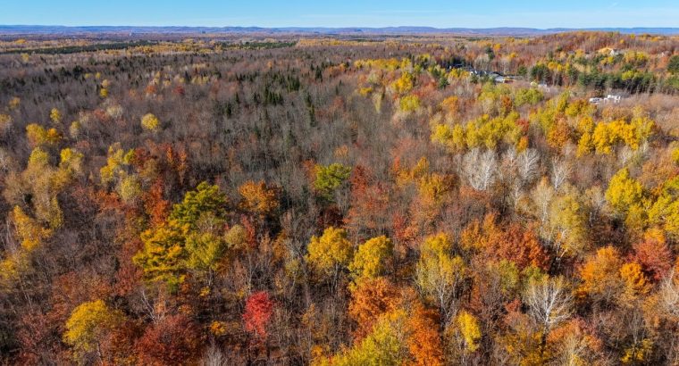 Notre-Dame-du-Mont-Carmel (Mauricie)Terre à bois