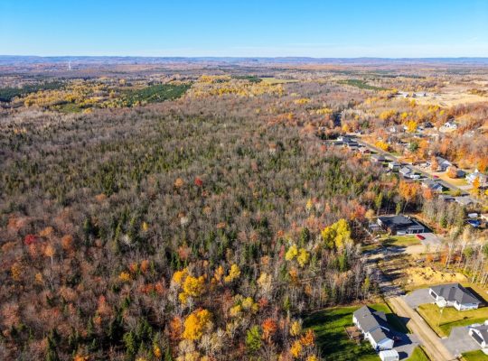 Notre-Dame-du-Mont-Carmel (Mauricie)Terre à bois