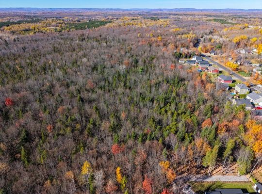 Notre-Dame-du-Mont-Carmel (Mauricie)Terre à bois