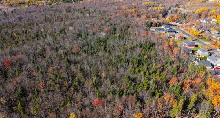 Notre-Dame-du-Mont-Carmel (Mauricie)Terre à bois