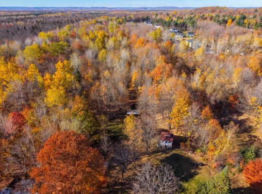 Notre-Dame-du-Mont-Carmel (Mauricie)Terre à bois