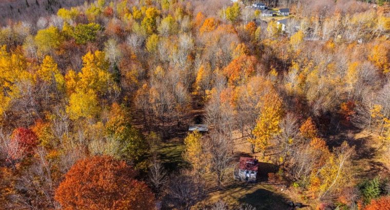 Notre-Dame-du-Mont-Carmel (Mauricie)Terre à bois