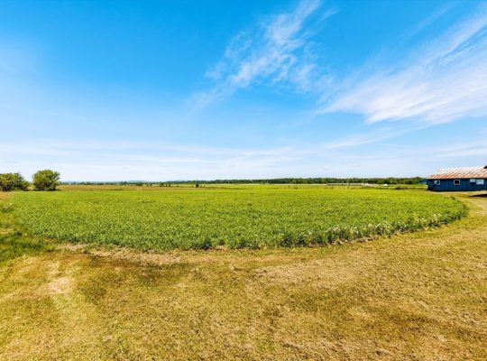 Deschambault-Grondines (Cap.-Ntl) : Terre 33 acres