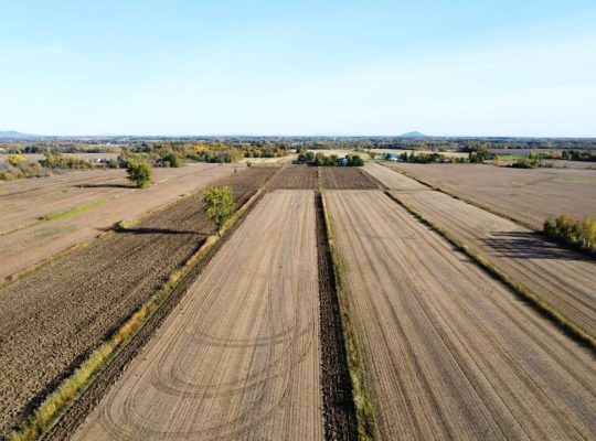 St-Basile-le-Grand (Montérégie) : Terre agricole