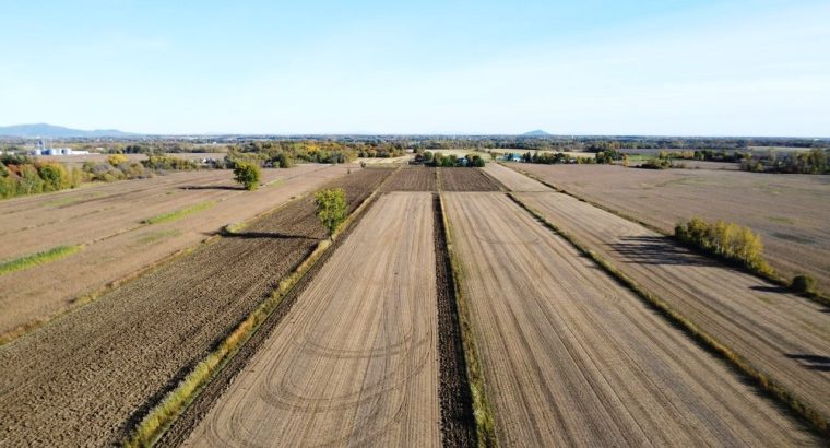 St-Basile-le-Grand (Montérégie) : Terre agricole