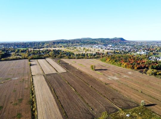 St-Basile-le-Grand (Montérégie) : Terre agricole