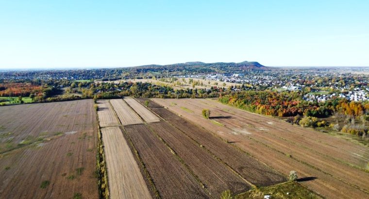 St-Basile-le-Grand (Montérégie) : Terre agricole