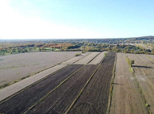 St-Basile-le-Grand (Montérégie) : Terre agricole