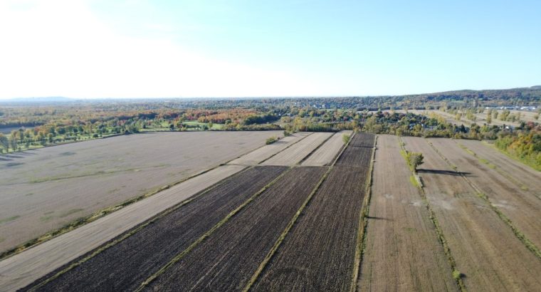 St-Basile-le-Grand (Montérégie) : Terre agricole