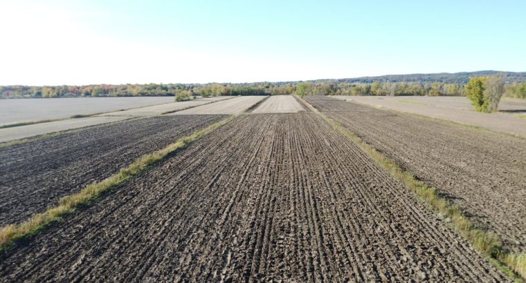 St-Basile-le-Grand (Montérégie) : Terre agricole