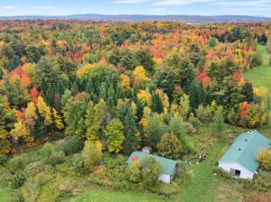 Roxton (Montérégie) : Terre agricole 39 acres