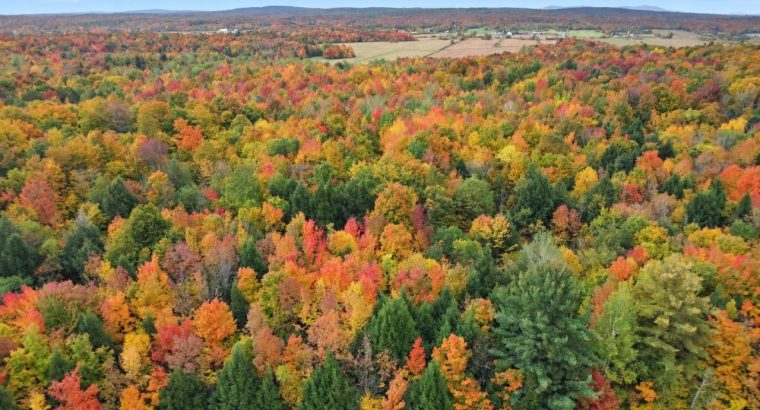 Roxton (Montérégie) : Terre agricole 39 acres