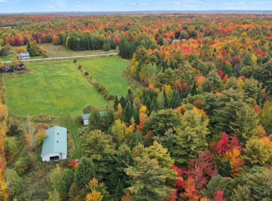 Roxton (Montérégie) : Terre agricole 39 acres