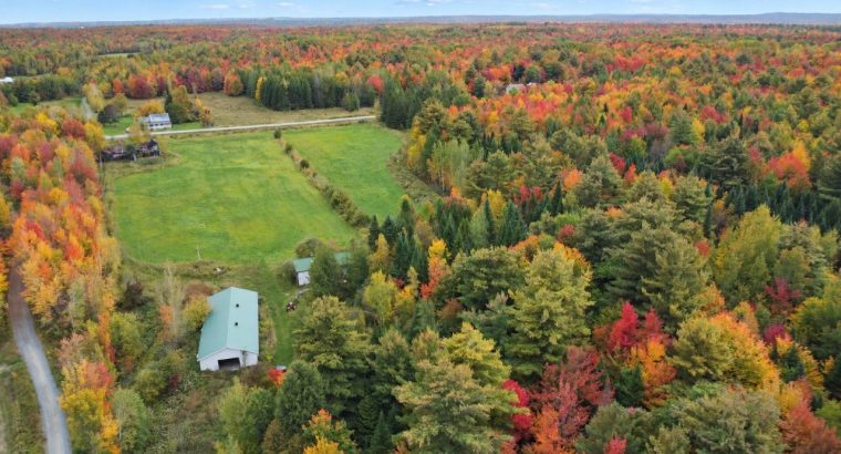 Roxton (Montérégie) : Terre agricole 39 acres