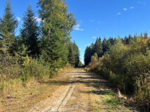 St-Cyprien (Chaud.-App.) : Terre à bois 102 acres