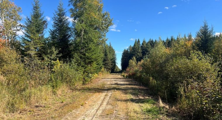 St-Cyprien (Chaud.-App.) : Terre à bois 102 acres